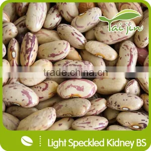 Dried Raw Sugar Beans thumbnail-1