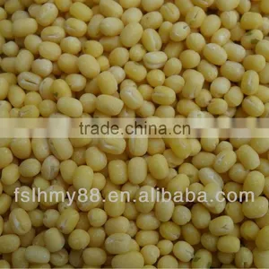 Northeast China Peeled/skinless Whole Green Mung Bean thumbnail-1
