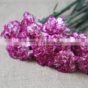Fresh Cut Flowers Carnation Varieties Flowers thumbnail-4