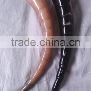 Ring Carving Drinking Horn thumbnail-2