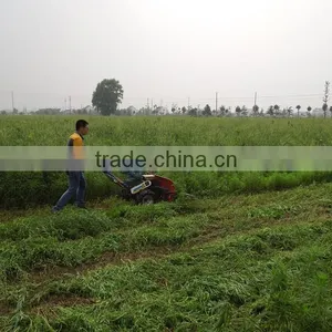 Alfalfa Harvester Machinery thumbnail-1