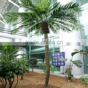 2017 New Innovation Artificial Plastic Coconut Palm Tree for Hall Decoration thumbnail-2