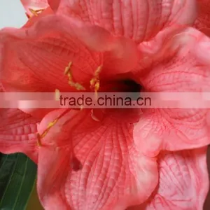 Natural Vallota Speciosa Fabric Vallota Speciosa Decorative Vallota Speciosa Artificial Flower for Wholesale thumbnail-5