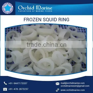 Rich Aroma Dried Squid Rings With No Added Chemicals or Preservatives thumbnail-2