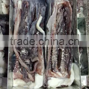 Fishing Boats,Frozen Giant Squid Tentacle thumbnail-2