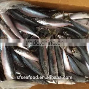 Made in Japan of Pacific Mackerel thumbnail-1