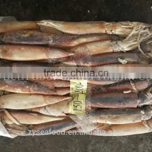 Natural Frozen Illex Squid Wholesale thumbnail-1
