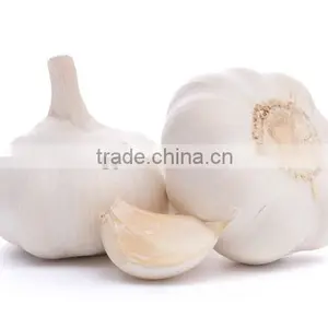 High Quality Jinxiang Export Garlic thumbnail-3