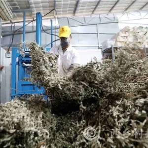 Shandong Yumeiren Wormwood Products Co., Ltd company overview - view 2 thumbnail