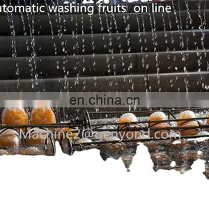 Factory Price Vegetables Processing Line Vegetables Production Line in Fruit and Vegetable Processing Equipment thumbnail-1