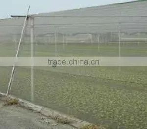 Anti Insect Net thumbnail-1