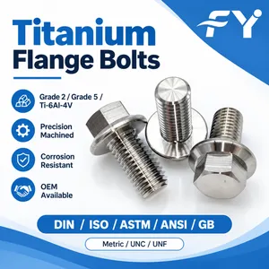 Titanium Fasteners Manufacturer Supplier, Gr5 Hex Head Bolt Kit OEM ODM Export thumbnail-1