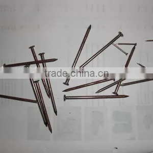 Common Round Nails thumbnail-1