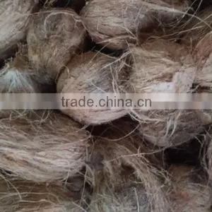 Natural Fresh Semi Husked Coconuts thumbnail-1