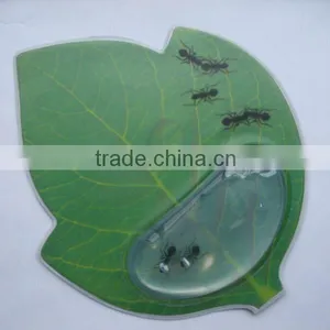 Leaf Shape Mouse Pad With Floaters thumbnail-1
