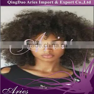 12" Short Black Rhapsody Curly Wave SYNTHETIC Women Afro Lace Front Wig Hair thumbnail-1