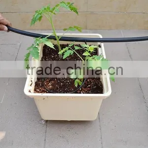 Tomato Dutch Bucket Hydroponics System for Greenhouse thumbnail-2
