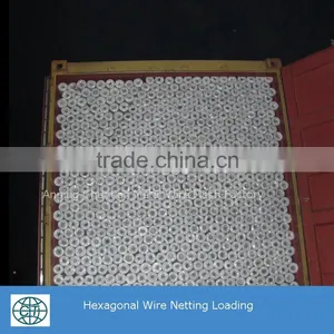 The Lowest Price Galvanized Wire Chicken Wire Mesh thumbnail-6