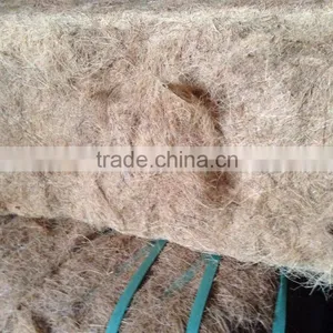 Coconut Fiber High Quality (qq : 2598494113) thumbnail-2