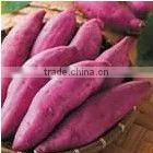 Natural Ingredient Purple Sweet Potato Color Anthocyanin thumbnail-1