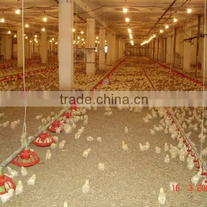 Automatic Pan Feeding System for Broiler thumbnail-1