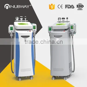 Body Reshape High Quality Cryo Slim Cryolipolysis Machine/ 220 / 110V Cryolipolyse Body Slimming Cryolipolysis Machine Fat Freeze thumbnail-1