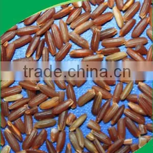 HOT-SELLING BEST QUALITY ORGANIC RED RICE thumbnail-1