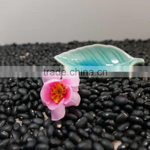 Beans Black Kidney Bean Hot Sale 2016 Crop thumbnail-2