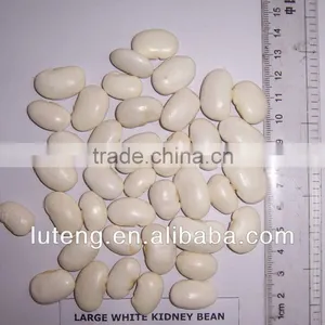 2013 Best Quality White Kidney Beans thumbnail-1