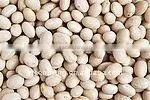 Dried White Beans 2011 thumbnail-1