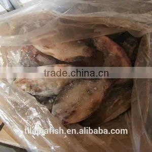 Tilapia Fish Whole Round With Good Quality thumbnail-1