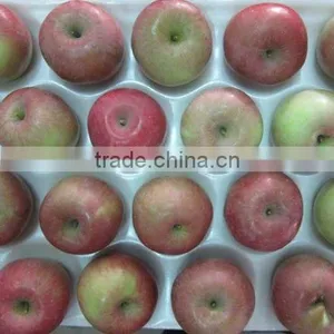 Export Fresh Fuji Apple thumbnail-1