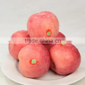 Fresh Fuji Apple thumbnail-3