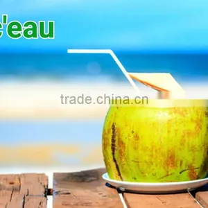 Thailad Coconut Juice/Coconut Drink/Coconut Water 310 ml thumbnail-2