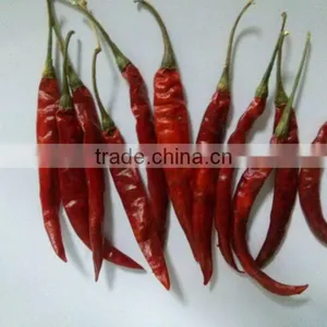 Indian Dry Red Chilli thumbnail-1