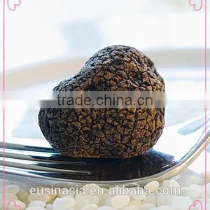 Chinese Truffle Chinese Tuber Indicum thumbnail-1