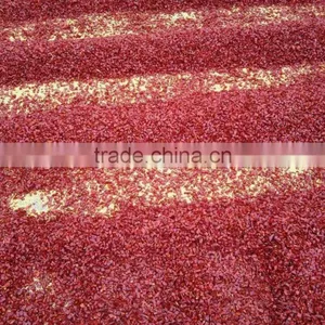 China Top 8 Manufacturer Supplying Dried Red Hot Sanying Chilli 1-2 cm Cutting Chilli Rings thumbnail-3
