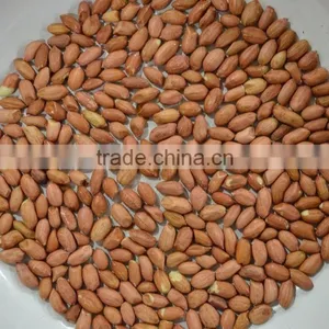 Peanut Kernal thumbnail-1