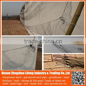 New Arrival Orchard Grape HDPE Anti Bird Netting , pe Plastic Knotted Mesh Bird Netting thumbnail-4