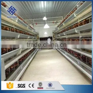 30 Years' Factory Supply Automatic Chicken Nest thumbnail-6