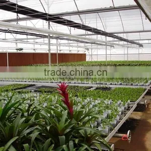 High Quality Lower Energy Plastic Water Trays Flow Rolling Bench for Growing thumbnail-6