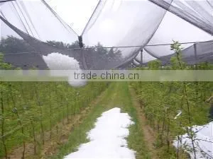Protective Screen thumbnail-2