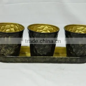 Plant Pot thumbnail-1