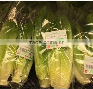 Fulll Automatic Vegetable Packing Machine for Holland or Finland Market thumbnail-6