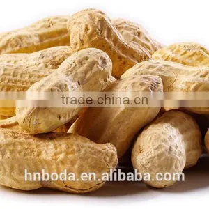 Cashew Nut Hot Air Machinery thumbnail-5