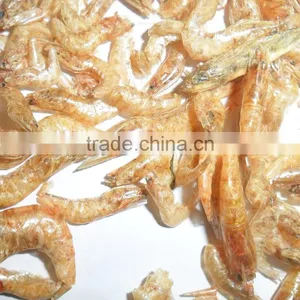Eco-friendly Freshwater Dried Shrimp // Turtle Food Shrimp thumbnail-1