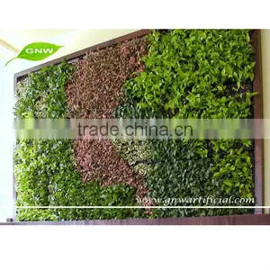 GNW GLW039 Home & Garden Greenwall Foundation Plants for Vertical Gardens Indoor Use thumbnail-1