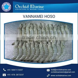 HACCP Certified Precisely Processed Vannamei Shrimp for Sale thumbnail-3