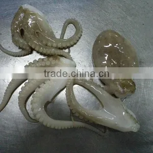 Frozen Octopus thumbnail-1