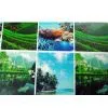 Colorful Sticker thumbnail-1